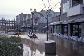 Flooded streets